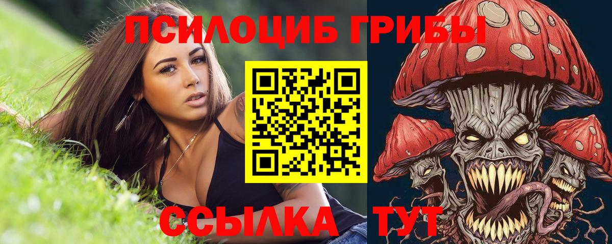 где продают наркотики  Псилоцибиновые грибы прущие грибы  Псилоцибиновые грибы Cubensis  Вход с VPN  Алейск 